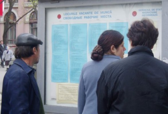 Şomajul, prima profesie după terminarea studenţiei